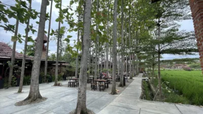 BMJ Pringsewu