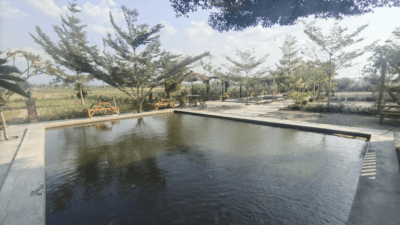 BMJ Pringsewu