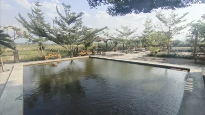 BMJ Pringsewu