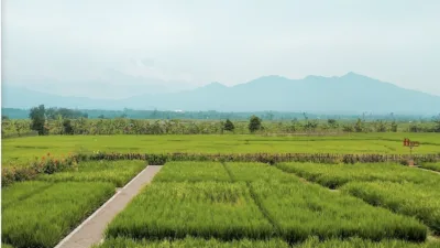 BMJ Pringsewu