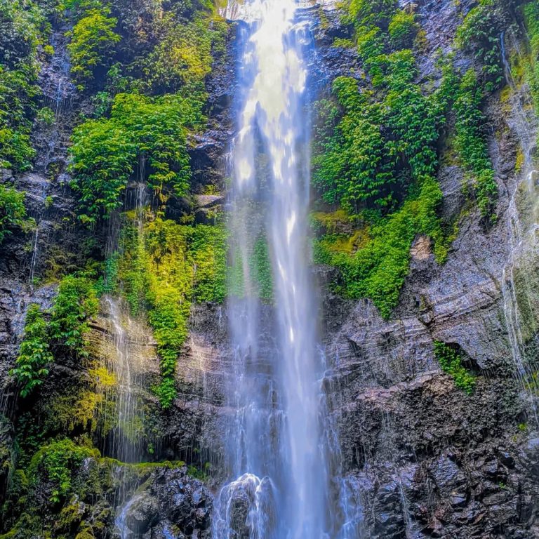 Air Terjun Curug Lawe Benowo Kalisidi