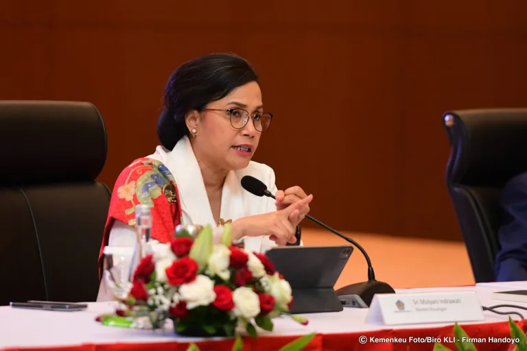 Sri Mulyani menyampaikan RAPBN 2025 Jadi Kunci Transisi dan Pertumbuhan Ekonomi Berkelanjutan